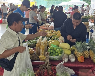 Agroferias: confirman puntos de venta para este miércoles 24 de junio