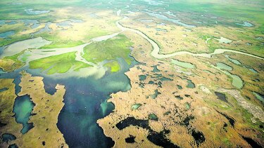 Pérdida de biodiversidad es una amenaza