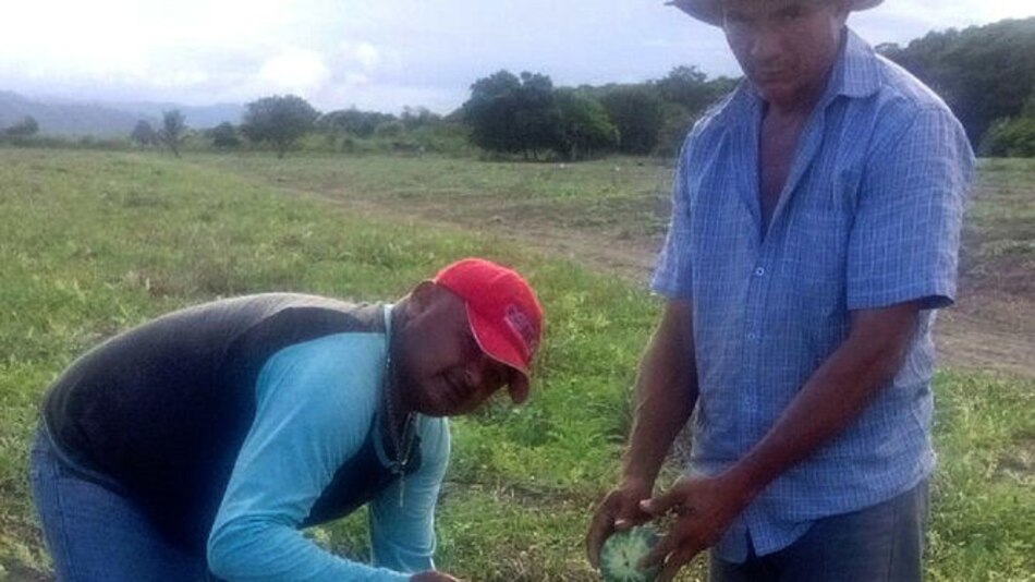 Cambio climático golpea a agricultores de la costa de Azuero
