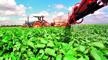 Clima seco afecta a productores