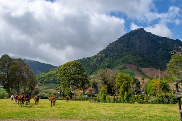 Las montañas y su importancia estratégica