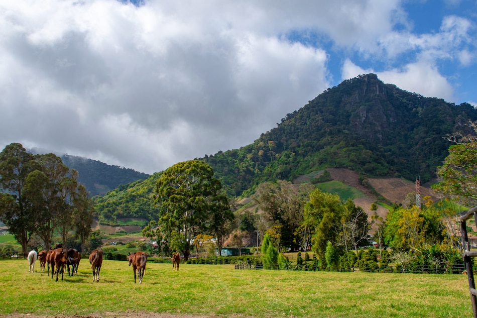 Las montañas y su importancia estratégica