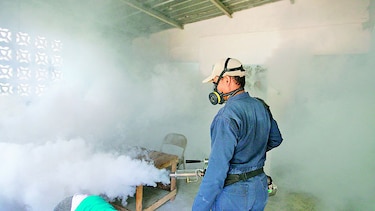 Sosa: ‘se refuerza relación virus zika con microcefalia’