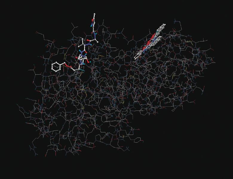 Crean molécula que inhibe el SARS-CoV-2
