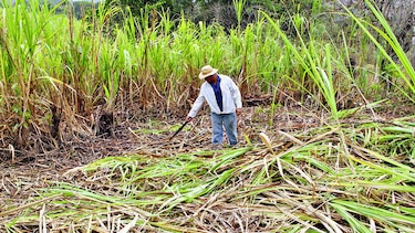 Más inversión en energía verde