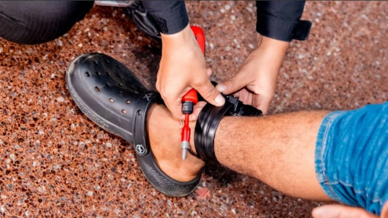 El 90% de las víctimas de violencia doméstica son mujeres y niños