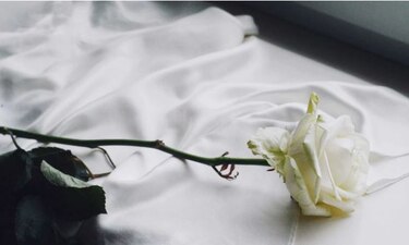 Descansa en paz Mireya E. Quintero de Nicholson
