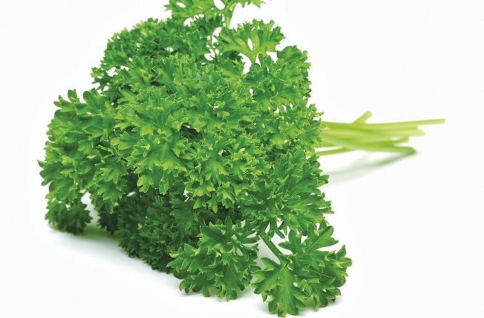 Un antioxidante natural en su cocina