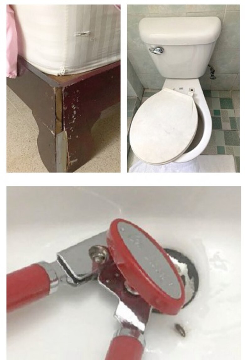 ‘Esto es un total atropello a la dignidad’, Julieth Tobón