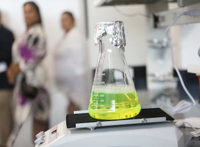 Senacyt advierte riesgo de cierre de centros de investigación por falta de fondos