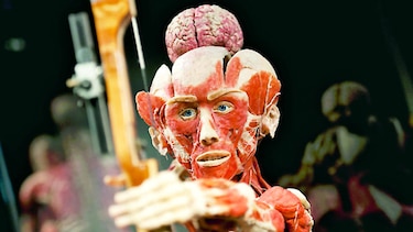 Abre el museo de cadáveres