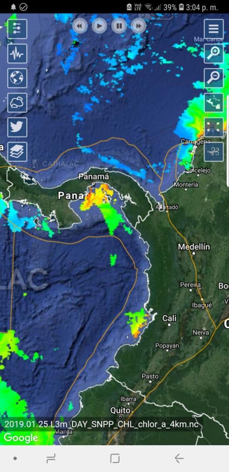 Miambiente: muerte de peces en Amador es por la 'marea roja'