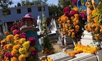 La Ciudad de México, de fiesta en las celebraciones del Día de Muertos