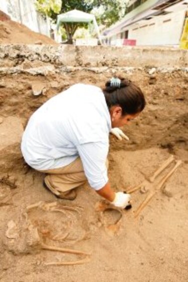 Los genes y la evolución