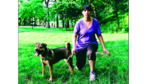 Entrenar y pasear al perro a la vez