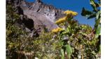 De vuelta al volcán