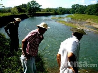 Se inicia proyecto para reforestar fincas en Los Santos