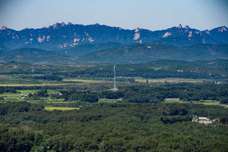 Un día en la Zona Desmilitarizada de Corea del Sur, una de las fronteras más peligrosas del mundo