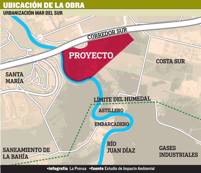 Alerta por daños a manglares