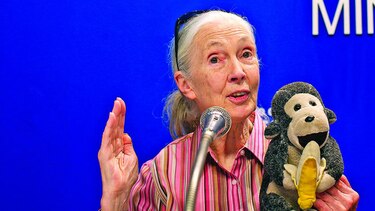 Jane Goodall pide valentía