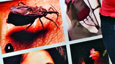 Mal de Chagas se esparce en Europa