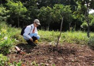 Jóvenes lideran proyecto de reforestación en Panamá
