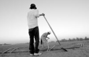 Nuevos empleos en México