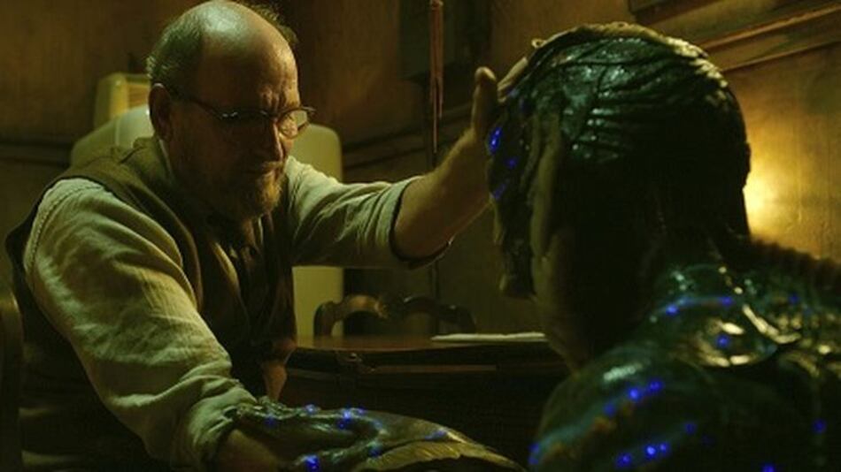 Las 24 categorías para la 90 edición de los premios Óscar