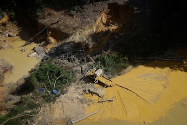 Los gráficos, mapas y fotos que muestran la lenta muerte de la Amazonía y por qué el mundo debería preocuparse