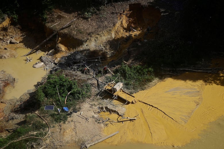 Los gráficos, mapas y fotos que muestran la lenta muerte de la Amazonía y por qué el mundo debería preocuparse