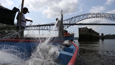 Pesca artesanal a orillas del Canal