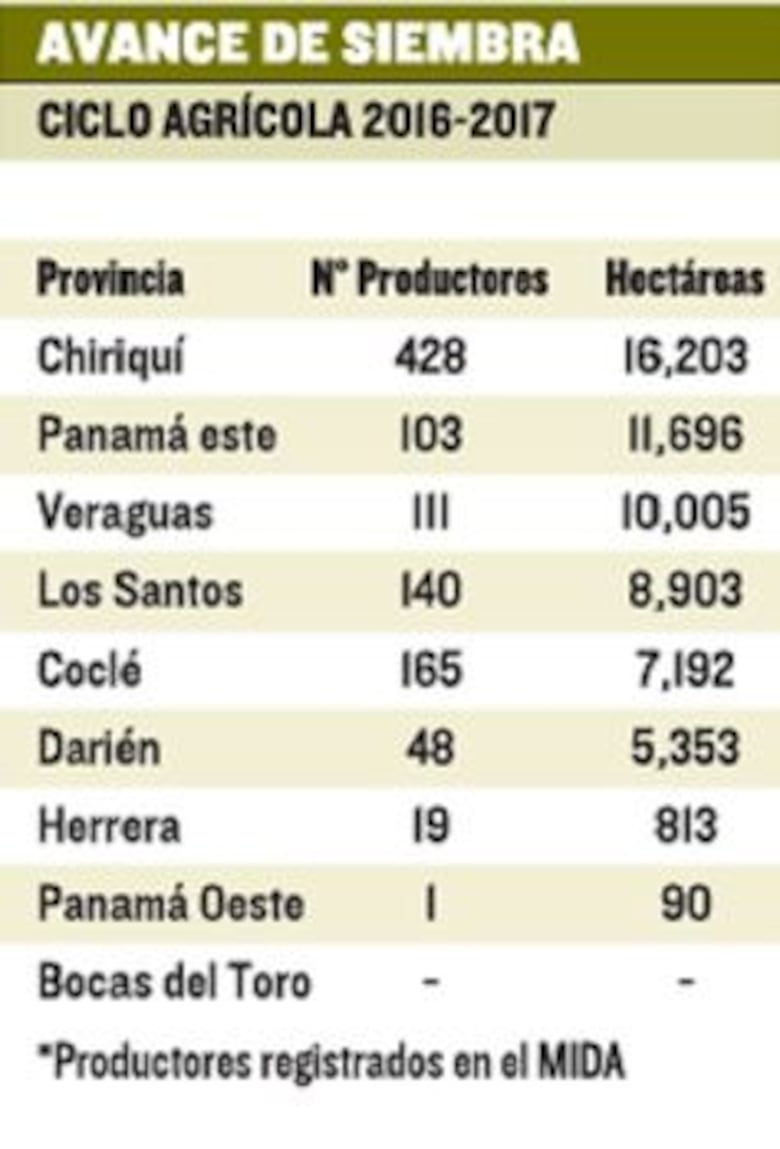 Arroz barato no llega al consumidor