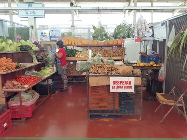 Consumidores se quejan por los horarios de movilización