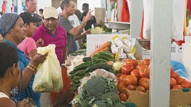 Pescados y mariscos frescos en Río Hato