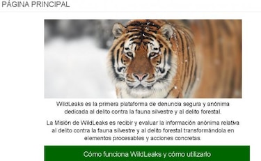 WildLeaks, un sitio web para denunciar a los cazadores furtivos