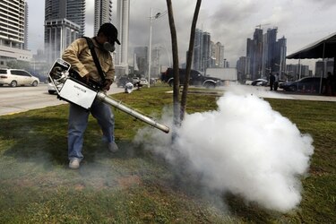 En lo que va del año se han reportado 194 casos de dengue