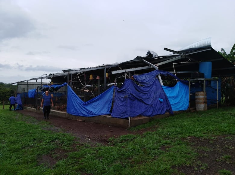 Vientos ocasionan desprendimiento de techos y caída de árboles en Llano Grande de Ocú
