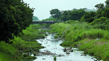 $8 millones para ampliar cauce del río Juan Díaz