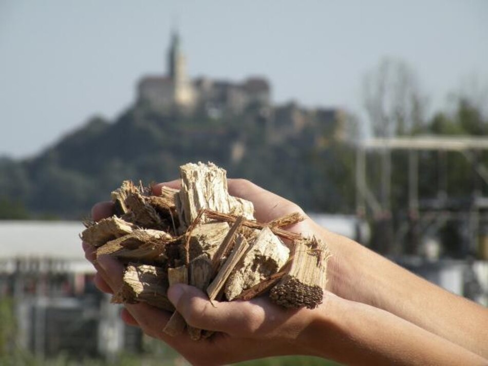 En dos años se comercializarán biocombustibles de segunda generación