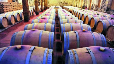 Abordarán entrada ilegal de vino a Francia