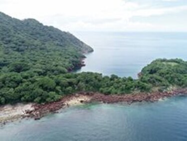 Batalla por Boná enfrenta vida silvestre marina con multimillonario proyecto