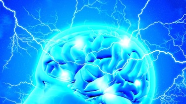 Un espacio para las neurociencias