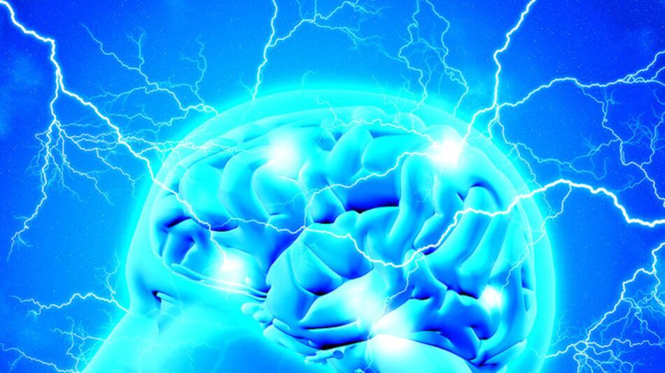 Un espacio para las neurociencias