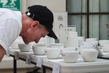 Récord histórico para el café panameño: Geisha alcanza hasta 100 puntos en Best of Panama