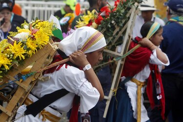 Silleteros convierten a Medellín en un jardín desfilando sus majestuosos arreglos florales