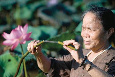 La seda de loto: Un tejido ecológico raro y codiciado