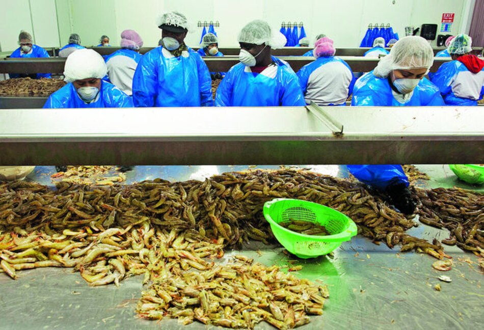 Exportaciones de Panamá caen 14.9% durante 2015