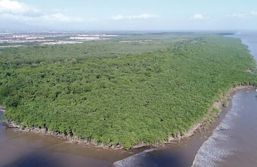 ¿Cómo salvar la bahía de Panamá?
