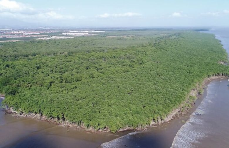¿Cómo salvar la bahía de Panamá?