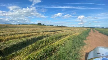 Varela Hermanos apuesta al desarrollo del agro y realiza su primera cosecha de arroz
